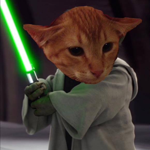 Meet your Posher, Cindy - Picture 6 of 8